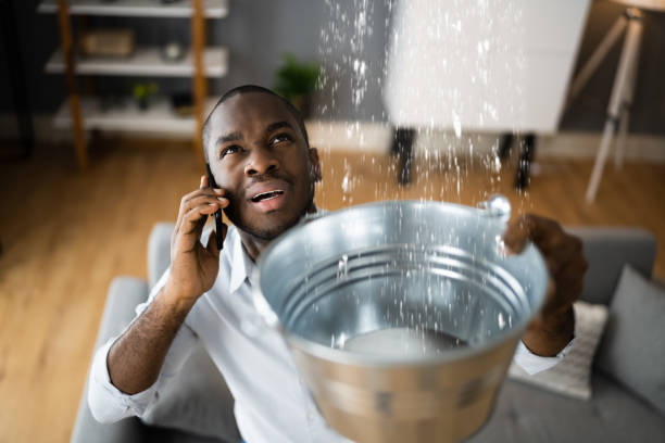 Best Local water damage restoration  in Reidland, KY