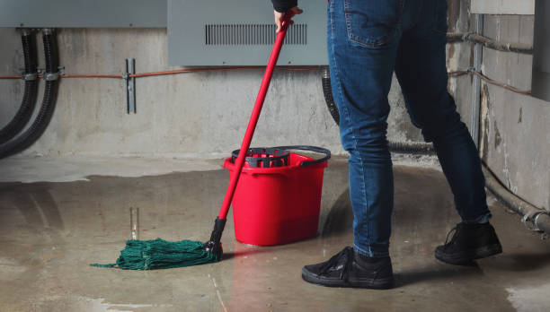 Best Flood restoration services  in Reidland, KY