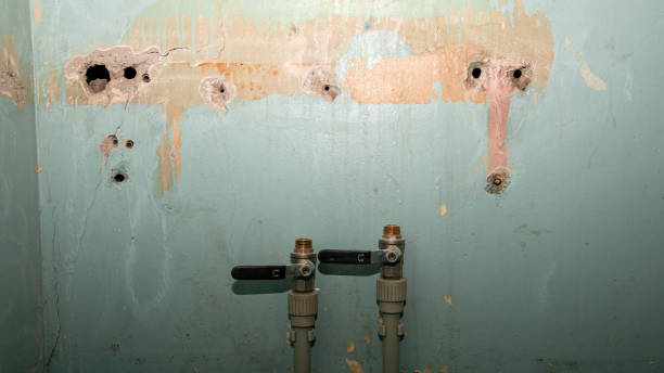 Best 24/7 water damage repair  in Reidland, KY
