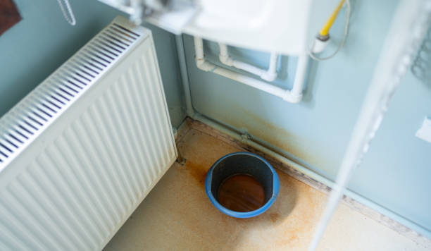 Best Residential water damage restoration  in Reidland, KY