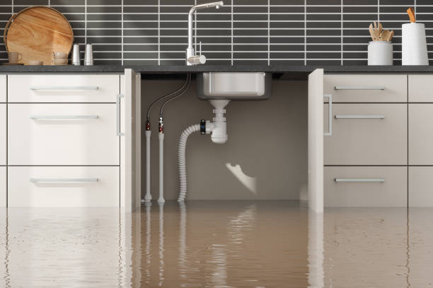 Best Water damage contractors near me  in Reidland, KY