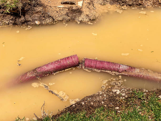 Best Water damage restoration near me  in Reidland, KY