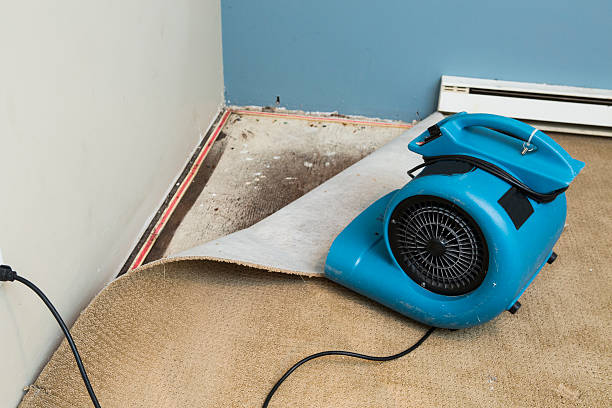 Best Commercial water damage restoration  in Reidland, KY