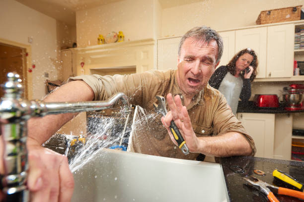 Best Flooded house restoration  in Reidland, KY